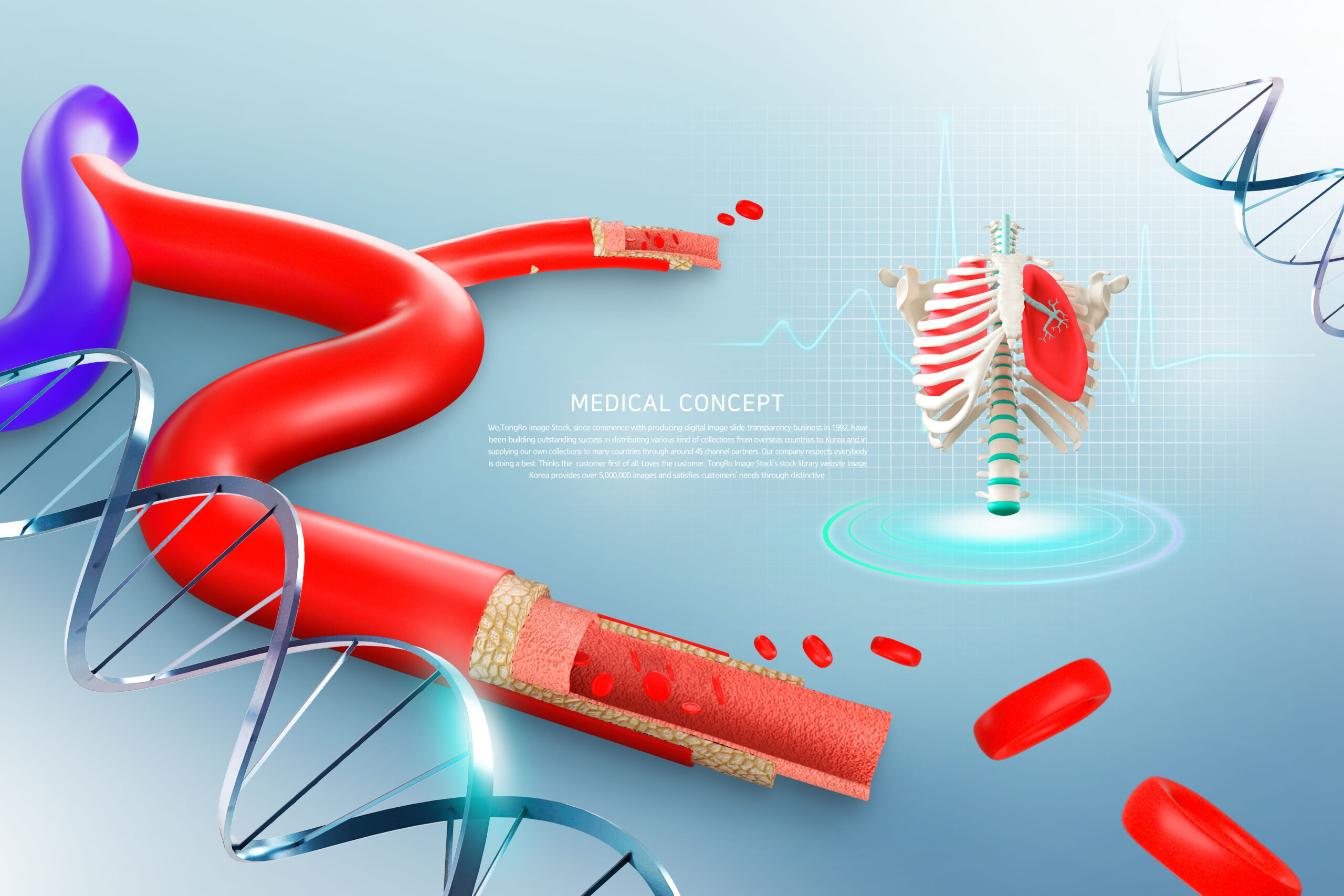 16素材网 16sucai.com